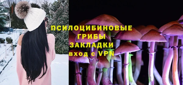 apvp Арсеньев